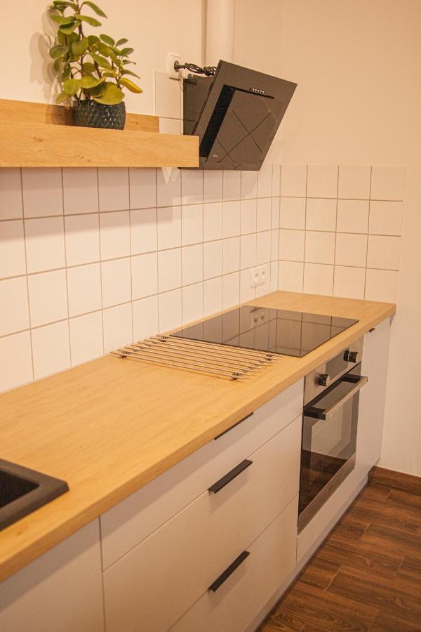 Przytulny Apartament Mickiewicza 14 4 Wielen المظهر الخارجي الصورة